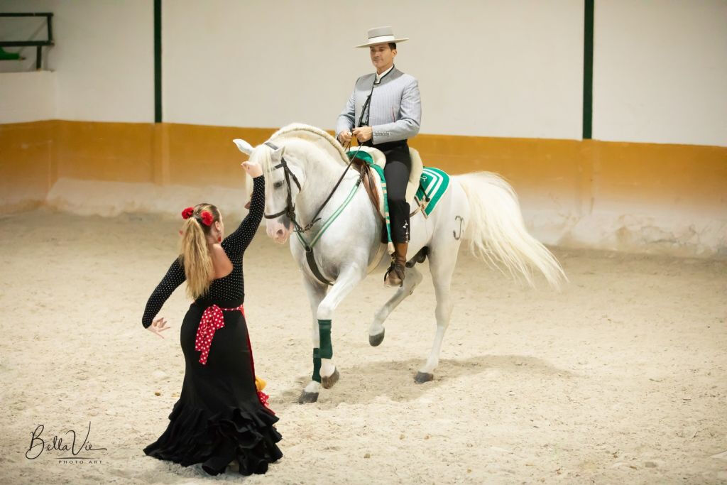 El Ranchito: Equestrian Show