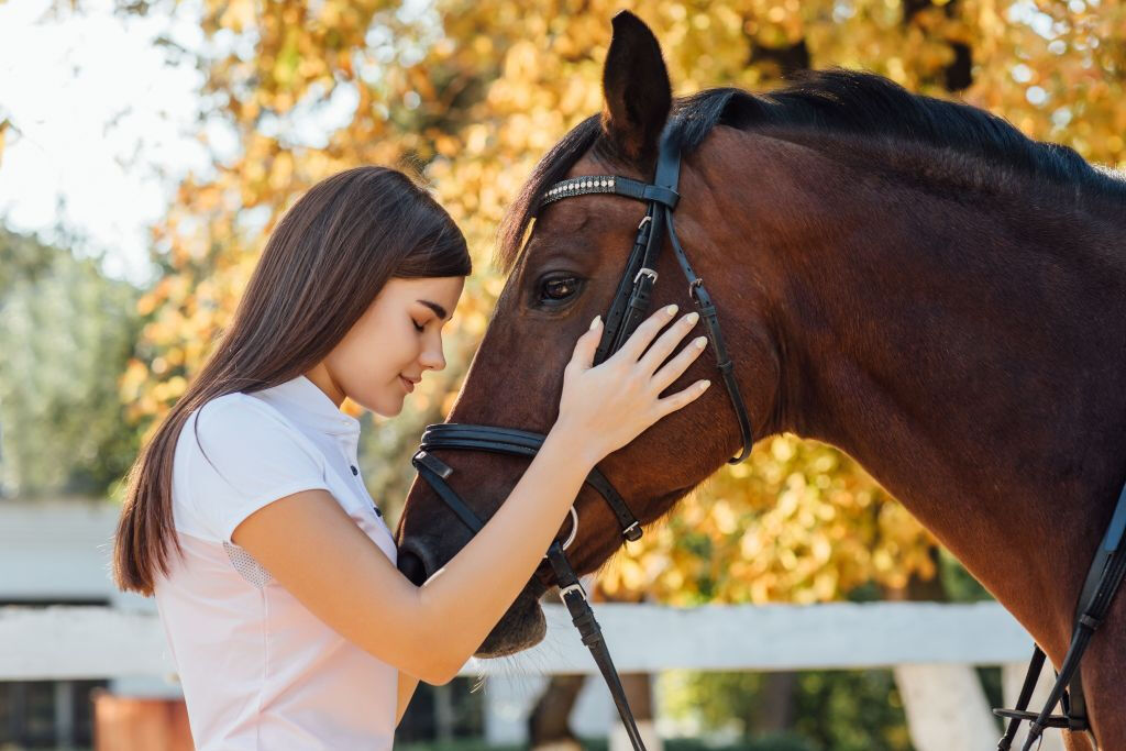 El Ranchito: Equestrian Show