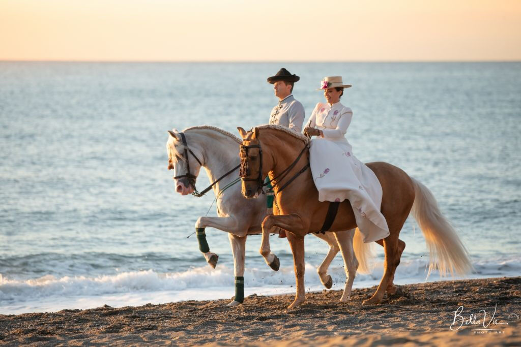 El Ranchito: Equestrian Show