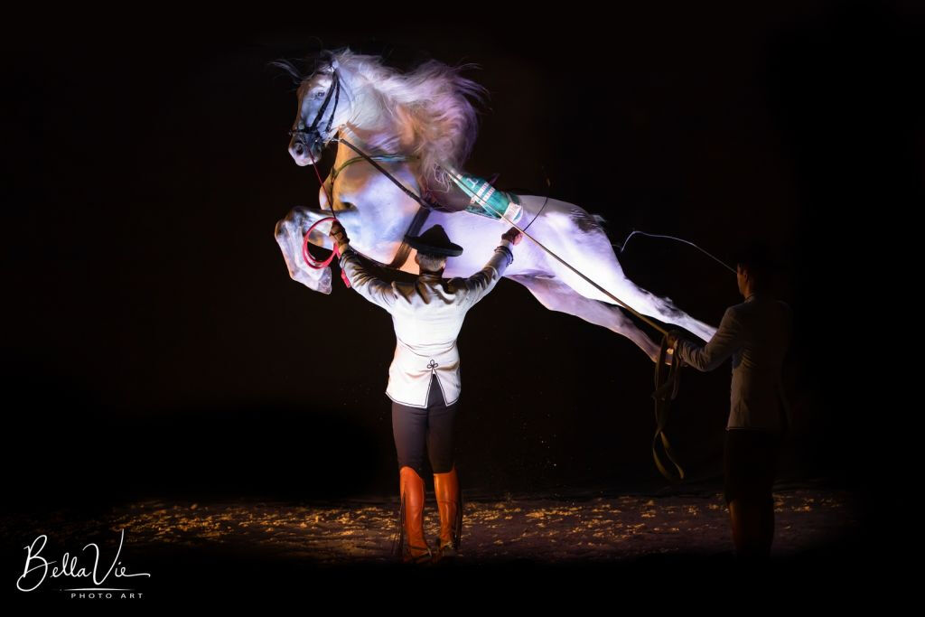 El Ranchito: Equestrian Show