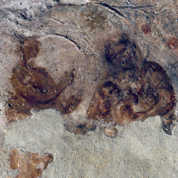 Priscilla Catacomb: Guided Tour