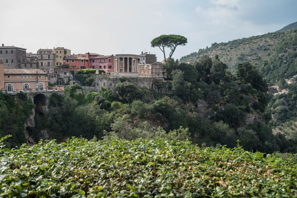Villa Gregoriana: Biglietto d'ingresso