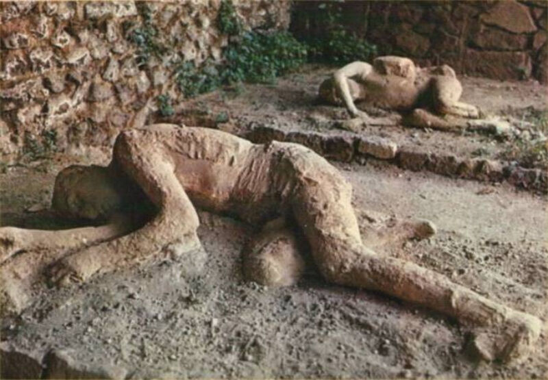 Pompei: Tour guidato + viaggio di andata e ritorno da Napoli