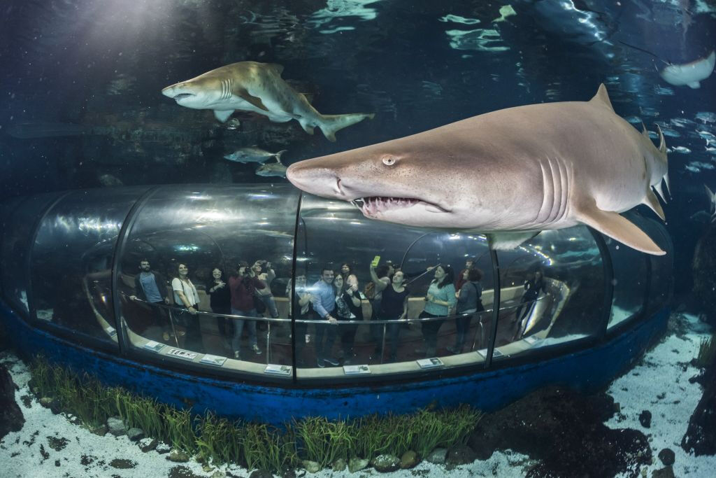 L'Aquarium de Barcelona