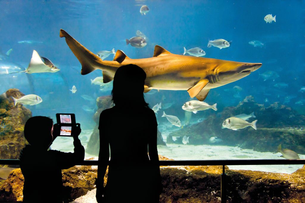 L'Aquarium de Barcelona