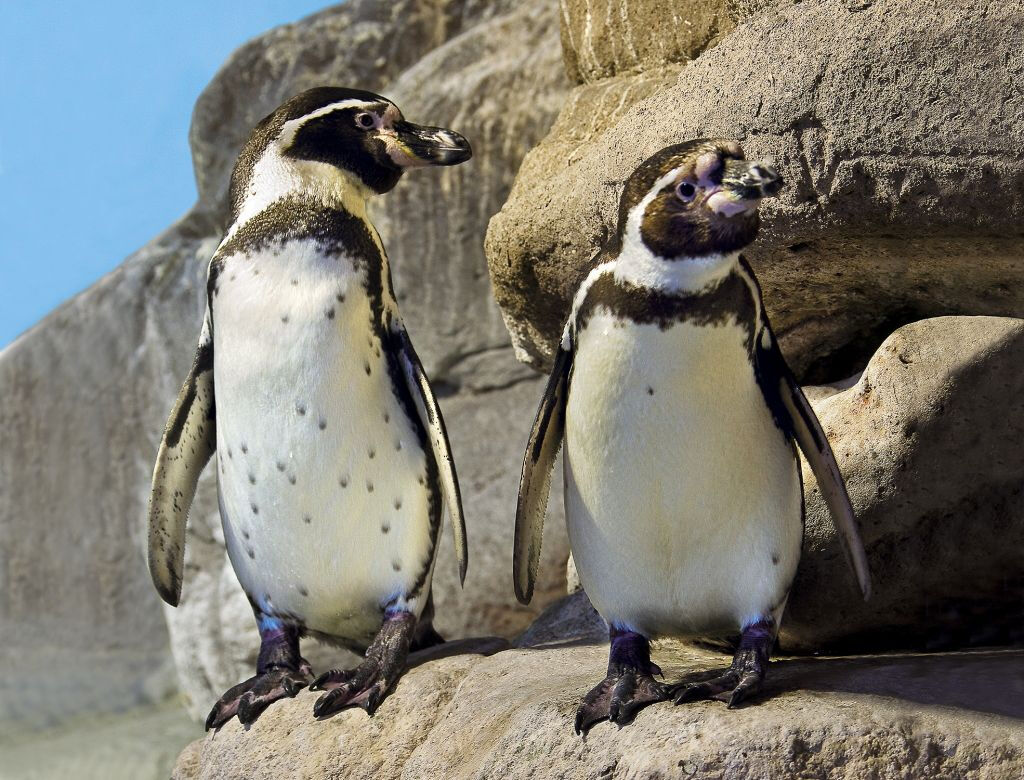 L'Aquarium de Barcelona