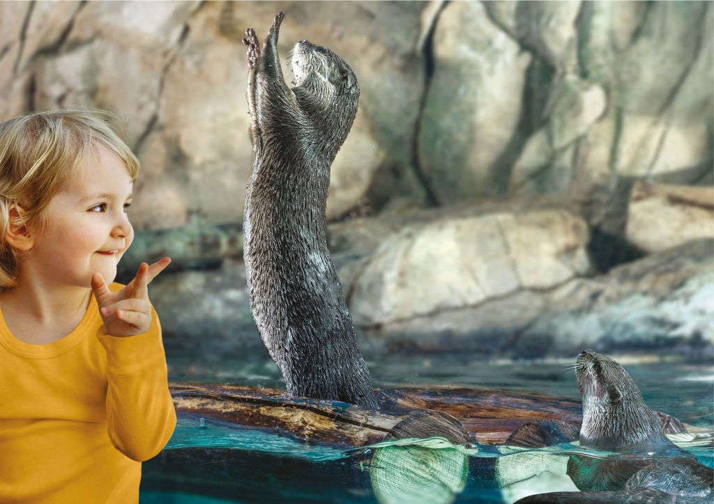 Acquario di Cattolica: Biglietto Fast Track