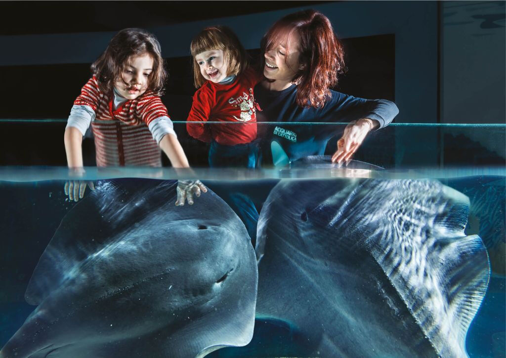 Acquario di Cattolica: Biglietto Fast Track