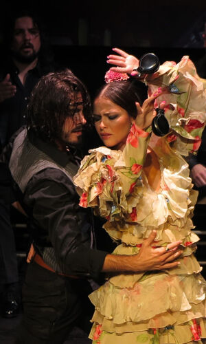 Teatro Flamenco Triana 