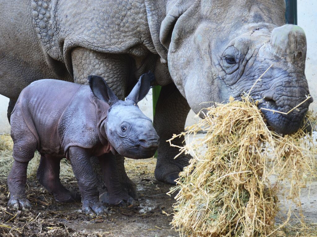 Terra Natura Benidorm