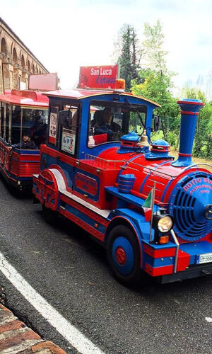Autobus rosso Bologna City e San Luca Express: Pass per 2 giorni