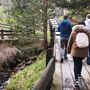 Excursions from Madrid