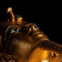 Acuario de Génova y Exposición Tutankhamon