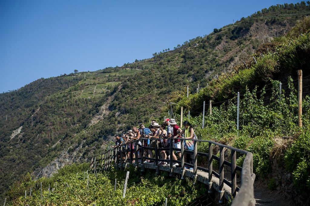 Cinque Terre: Day Trip from Florence + Boat Tour + Optional Hiking