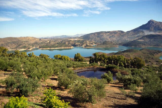 Tour dei Villaggi Bianchi e della Ronda da Siviglia