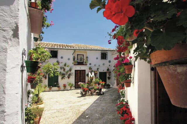 Visite des villages blancs et de Ronda au départ de Séville