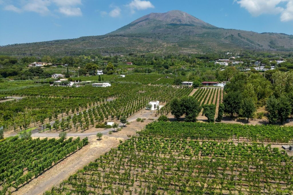 Vesúvio: Passeio pelos vinhedos + degustação de vinhos e almoço
