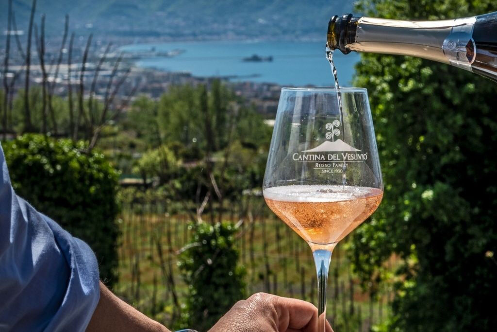 Vesuvio: Tour dei vigneti + degustazione di vini e pranzo