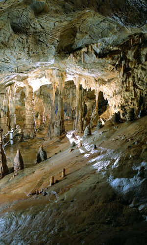 Grotte di Toirano: Biglietto Fast Track