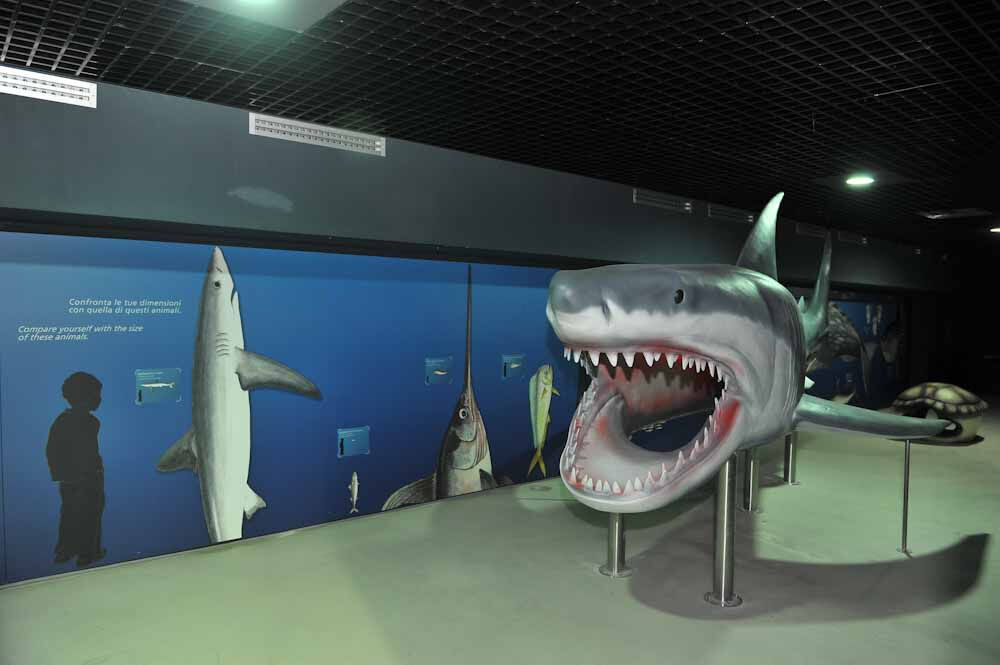 Acuario de Livorno: Entrada
