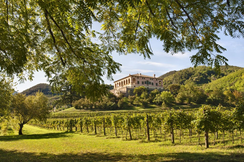 Villa dei Vescovi: Bilhete de entrada