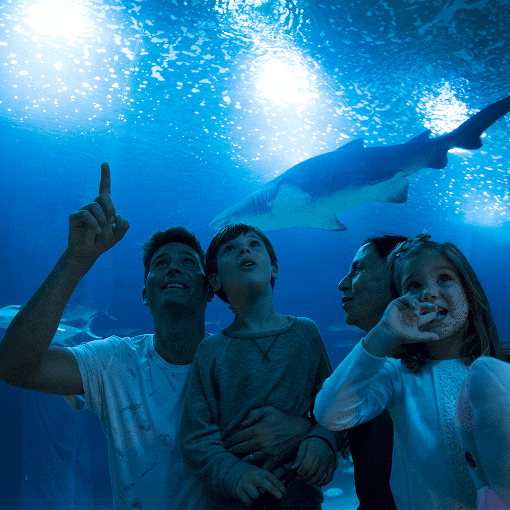 Oceanogràfic
