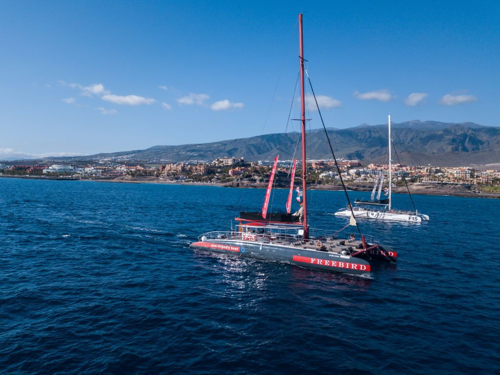 Freebird Catamaran in Tenerife