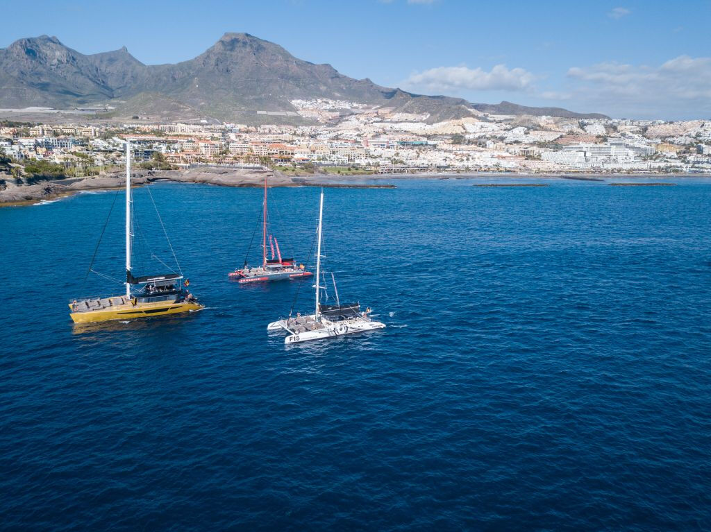 Freebird Catamaran in Tenerife