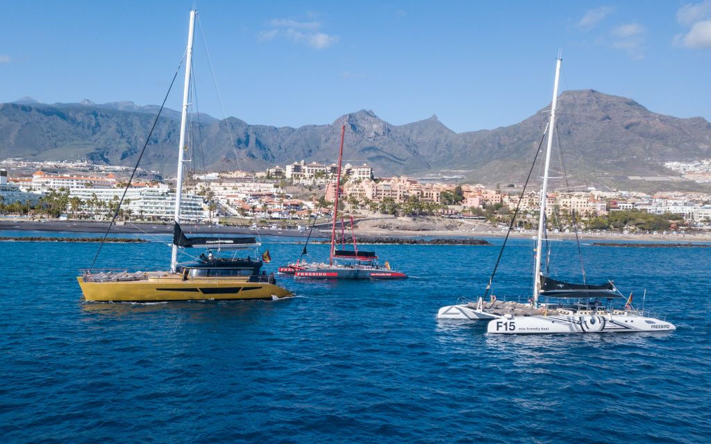 Freebird Catamaran in Tenerife