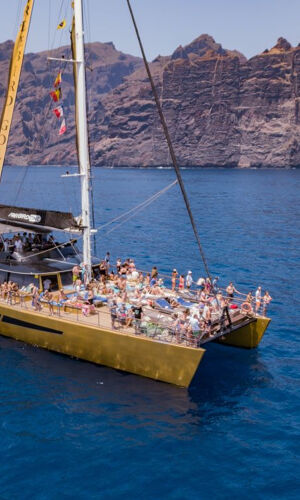 Freebird Catamarán en Tenerife