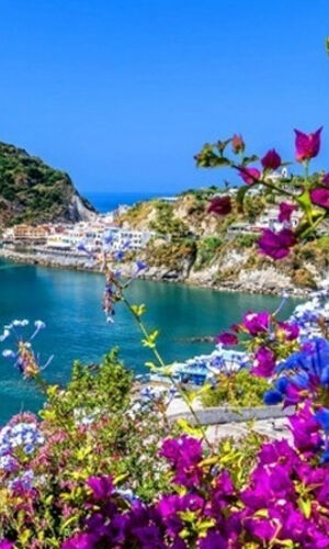 Île d'Ischia : excursion d'une journée depuis Naples avec déjeuner