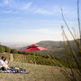 Azienda vinicola Corte Pavone: Picnic con vino e cibo + visita guidata al vigneto