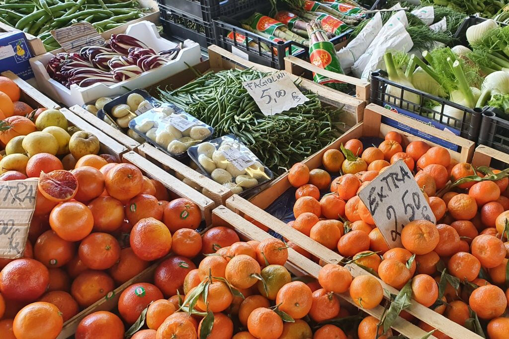 Taste Florence Food Tour with All’Antico Vinaio - Skip The Line