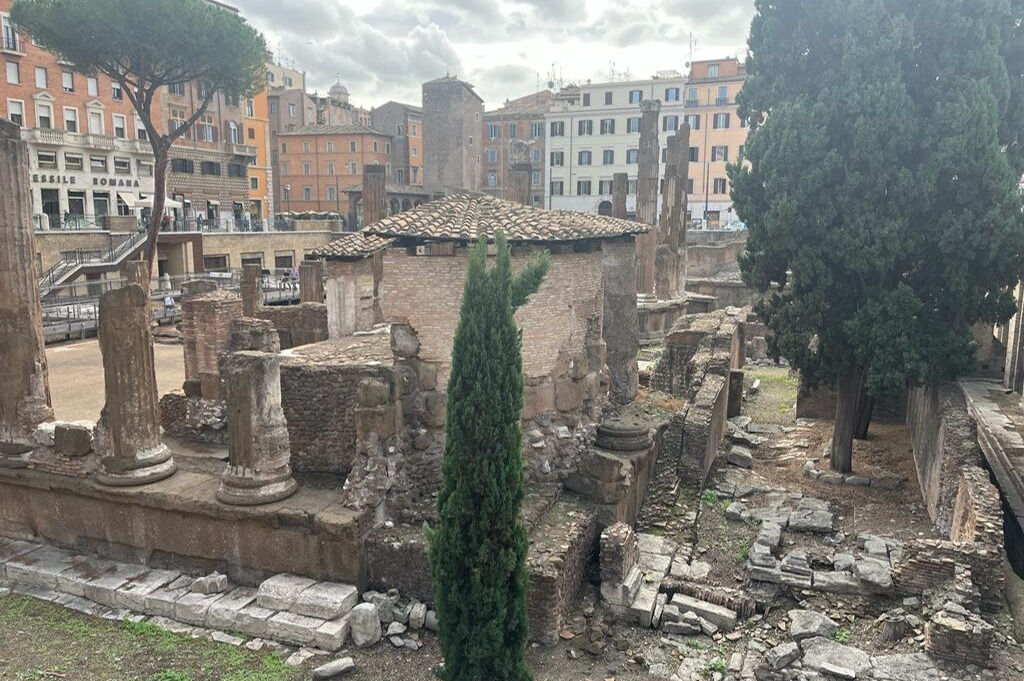 Rome: Archeological Area Largo Argentina Entry Ticket