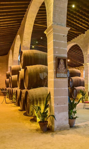 Visita una Bodega de Jerez 