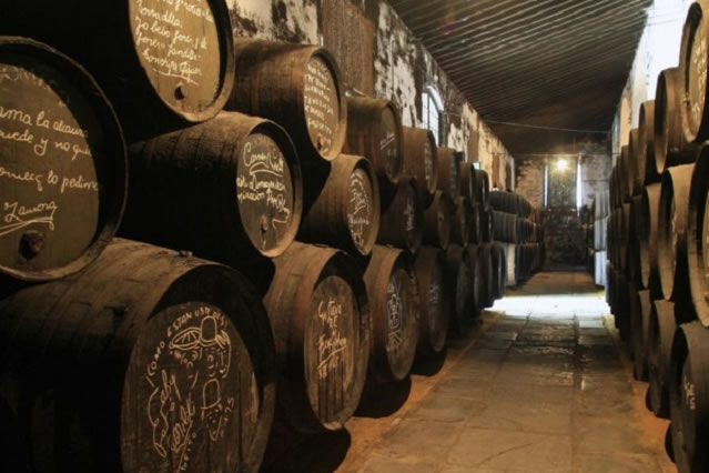 Visitar uma adega de xerez