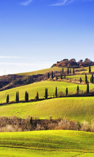 Val D'Orcia, Montepulciano e Pienza: Gita di un giorno da Firenze