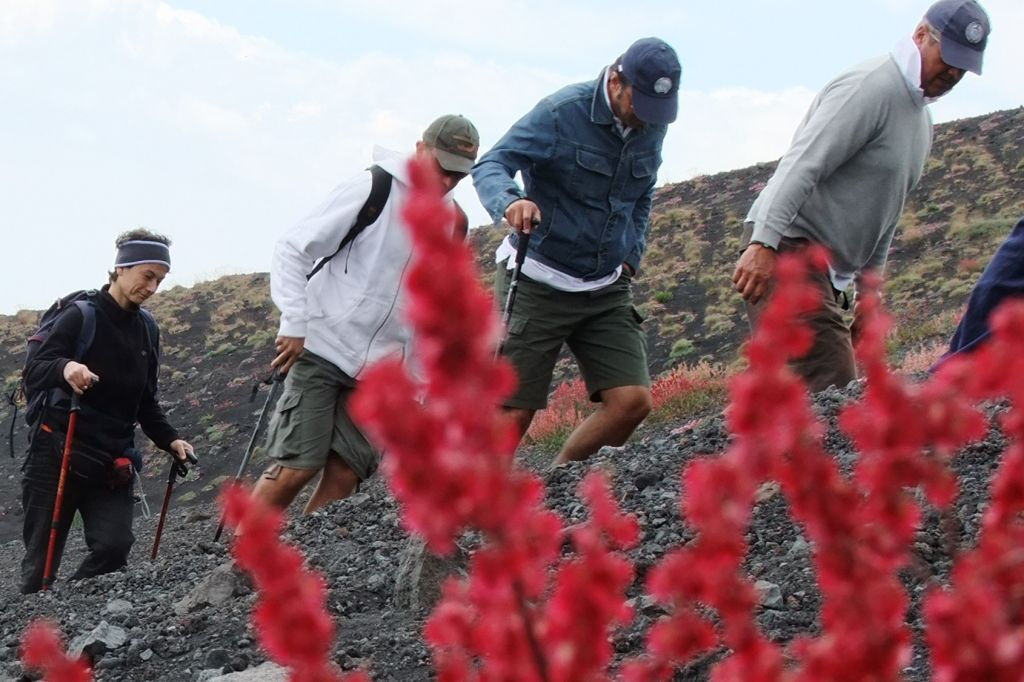 Mount Etna: Excursion from Catania
