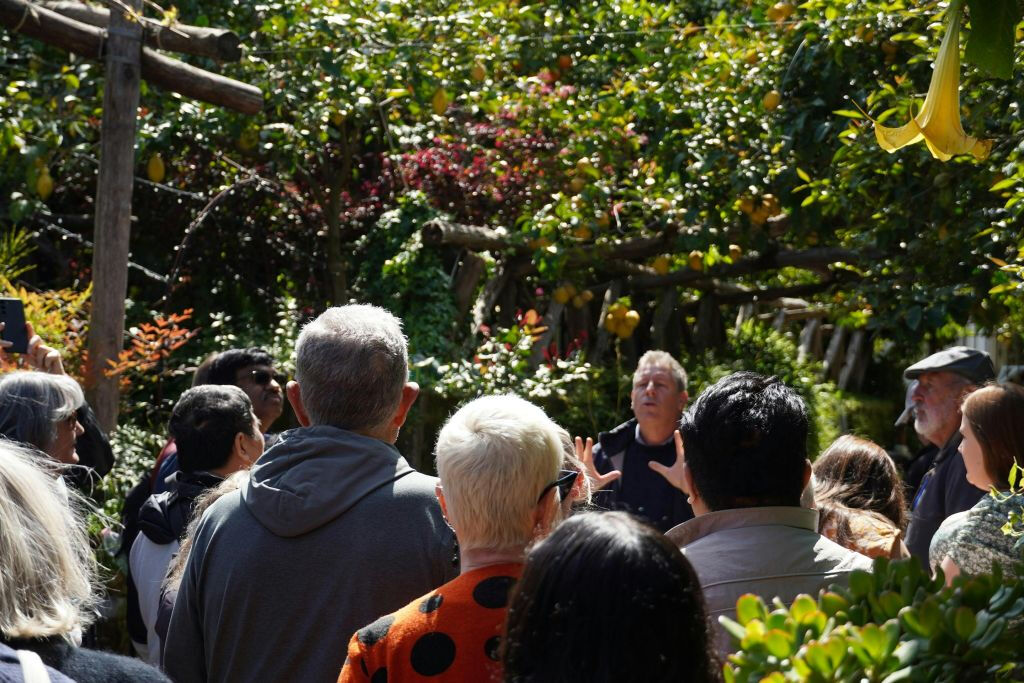 Pompeii: Skip The Line Entrance & Guided Tour + Lunch + Day Trip From Rome