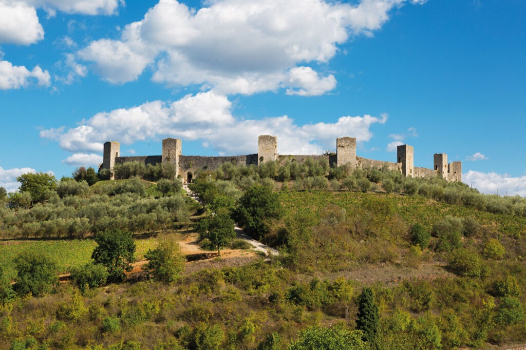 Siena, San Gimignano e Colle Alta: Viagem de um dia saindo de Florença + degustação de vinhos