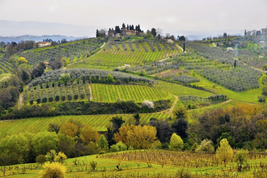 Siena, San Gimignano e Colle Alta: Viagem de um dia saindo de Florença + degustação de vinhos