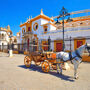 Guided Tours in Seville