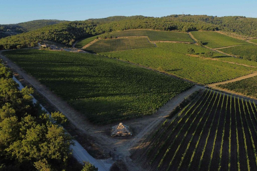 Siena: VIP Wine, Oil and Food Tasting at Tuscany Vineyard