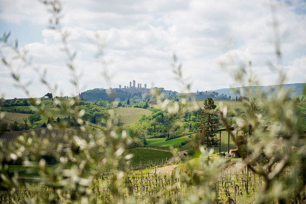 Pisa, San Gimignano y Siena: Excursión de un día desde Florencia + Visita a la ciudad de Siena + Almuerzo