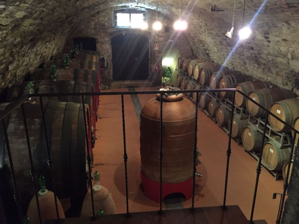 Região de Chianti: Viagem de um dia saindo de Florença + visita a uma vinícola