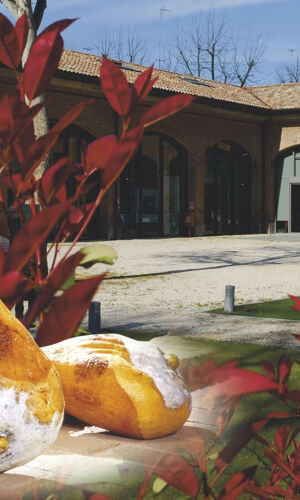 Musei del Cibo: Museo del Prosciutto di Parma
