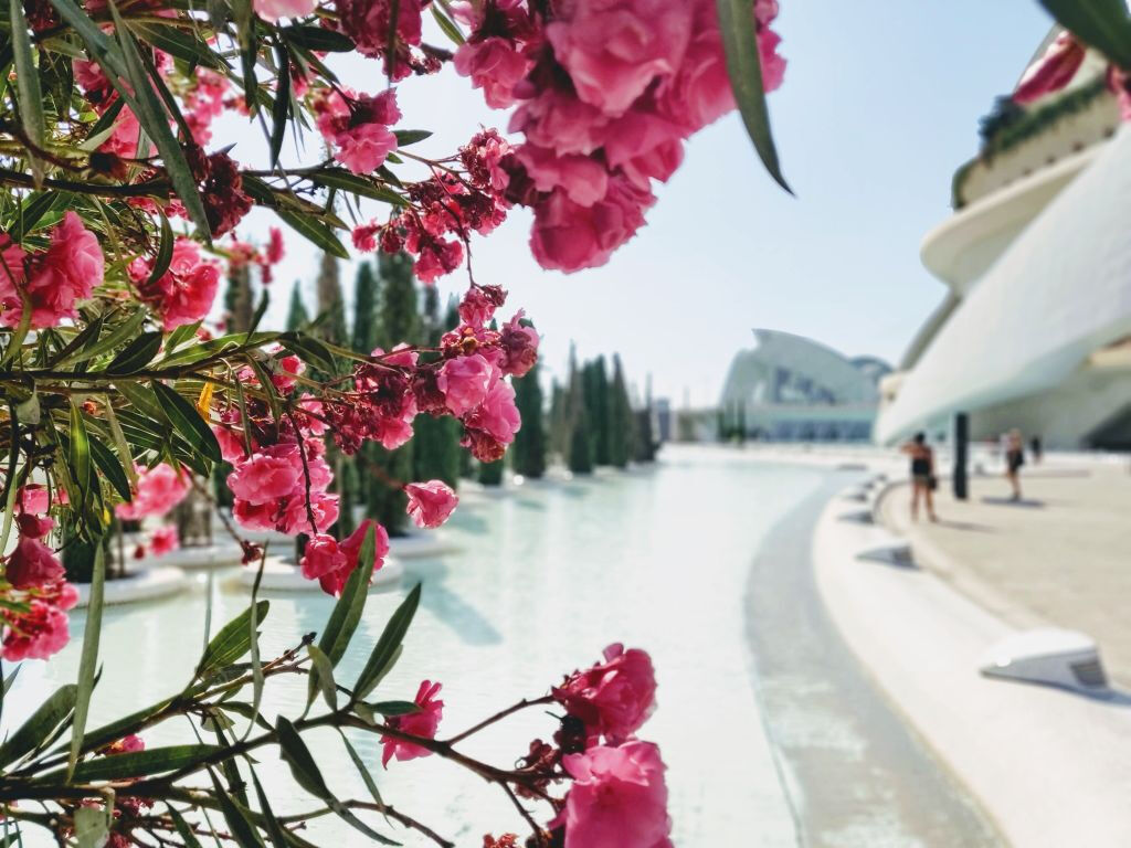 Excursiones de 1 día desde Alicante