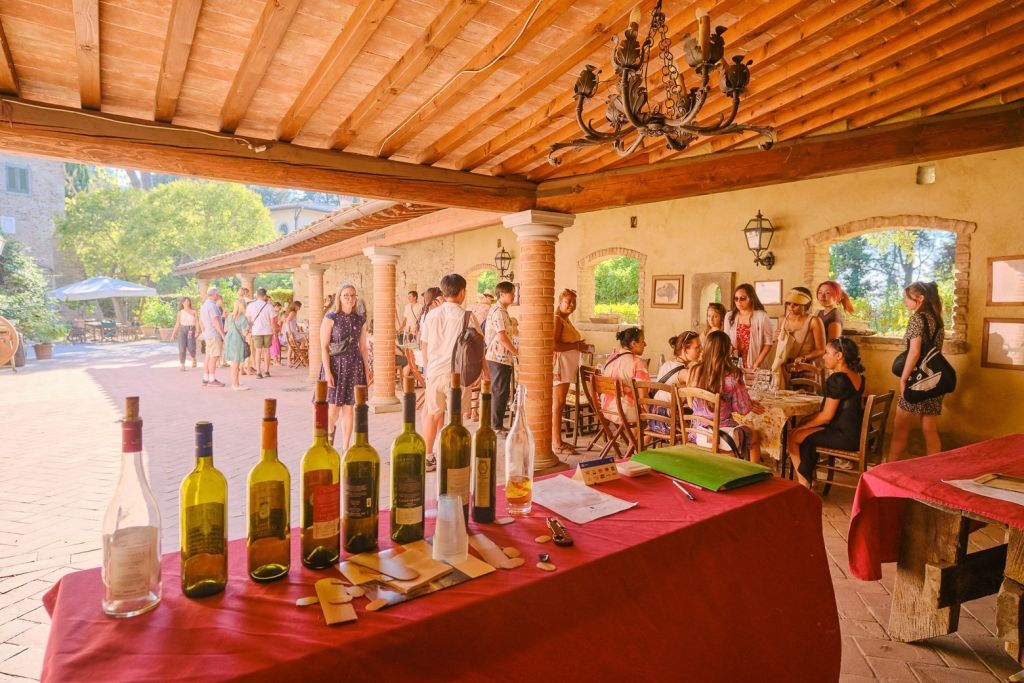 Vigneti del Chianti: Tour di mezza giornata da Firenze con degustazioni di vino