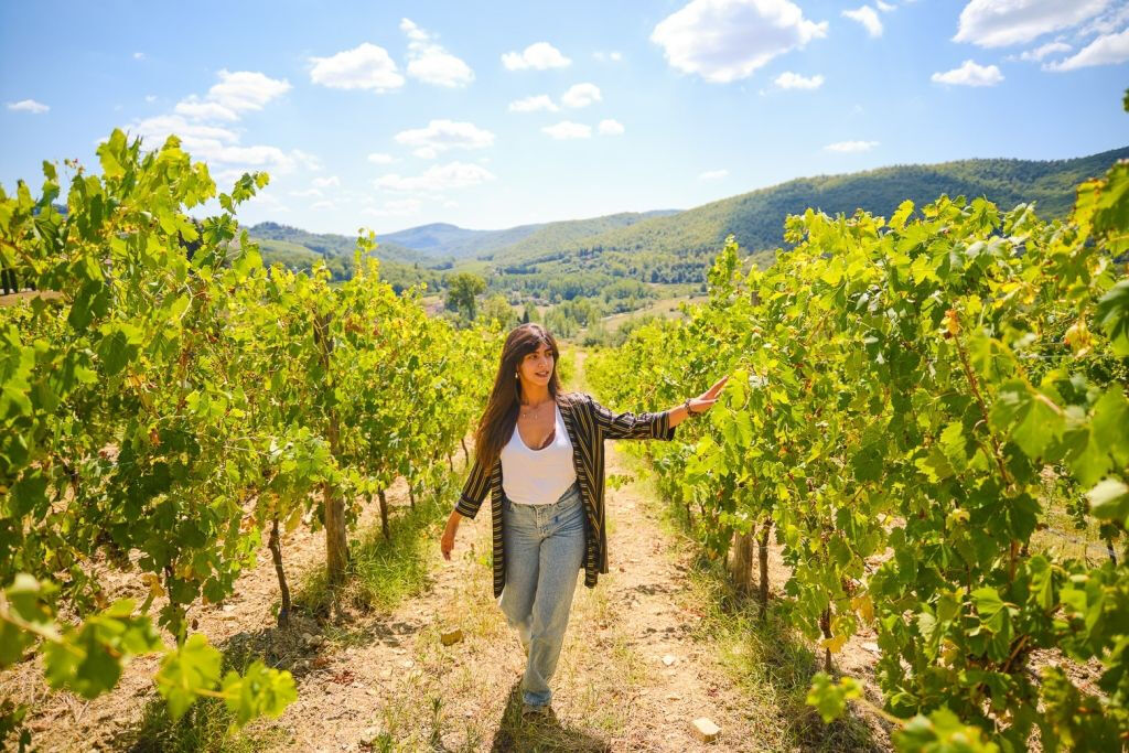 Vinhedos de Chianti: Excursão de meio dia saindo de Florença com degustação de vinhos