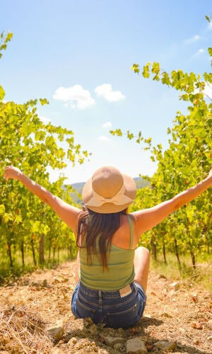 Vigneti del Chianti: Tour di mezza giornata da Firenze con degustazioni di vino